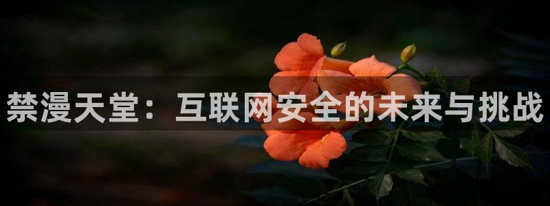 stagenehind韩漫免费观看：禁漫天堂：互联网安全的未来与挑战