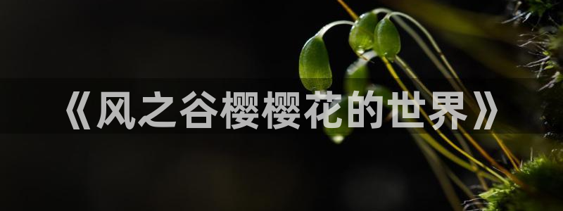 韩国漫画平台kakaopage：《风之谷樱樱花的世界》