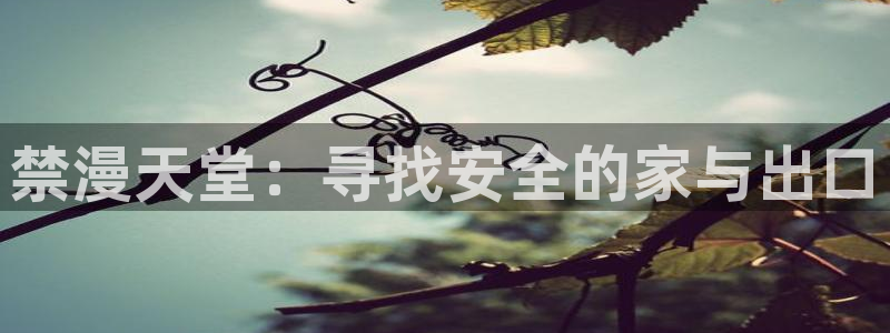 colamanage漫画下载：禁漫天堂：寻找安全的家与出口
