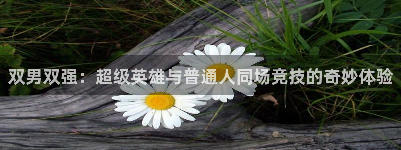 酷漫屋网官网入口：双男双强：超级英雄与普通人同场竞技的奇妙体验