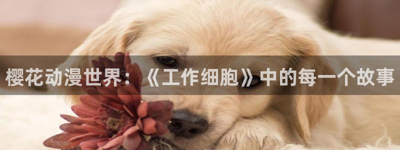 stagenehind韩漫免费观看：樱花动漫世界：《工作细胞》中的每一个故事