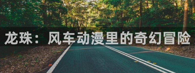 backstage韩漫免费观看：龙珠：风车动漫里的奇幻冒险