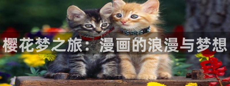 拷贝漫画 copymanager.ory网站：樱花梦之旅：漫画的浪漫与梦想