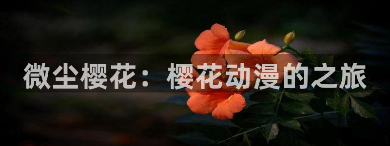 韩国漫画平台kakaopage：微尘樱花：樱花动漫的之旅