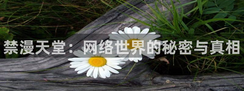 age樱花动漫：禁漫天堂：网络世界的秘密与真相
