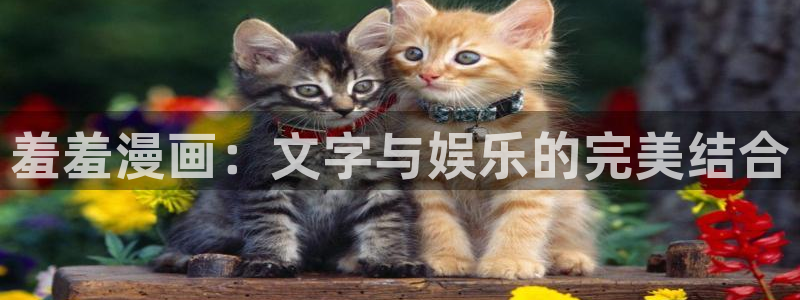 酷漫屋omofun：羞羞漫画：文字与娱乐的完美结合