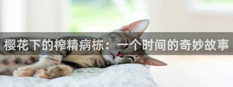 酷漫屋官网版入口：樱花下的榨精病栋：一个时间的奇妙故事