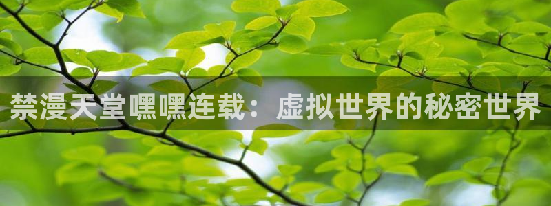 在线动画动漫下载酷漫屋：禁漫天堂嘿嘿连载：虚拟世界的秘密世界