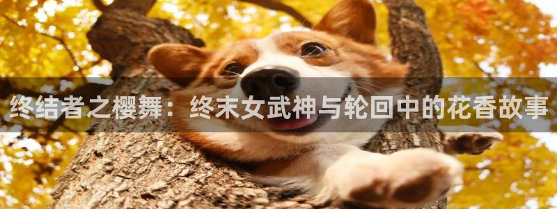 酷漫屋樱花：终结者之樱舞：终末女武神与轮回中的花香故事