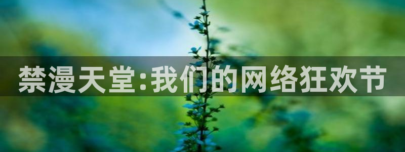 酷漫屋官网樱花动漫：禁漫天堂:我们的网络狂欢节