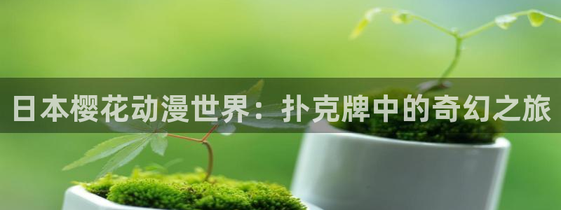 下载酷漫屋：日本樱花动漫世界：扑克牌中的奇幻之旅