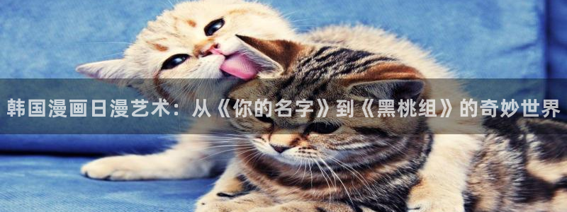 拷贝漫画 copymanager.ory网站：韩国漫画日漫艺术：从《你的名字》到《黑桃组》的奇妙世界